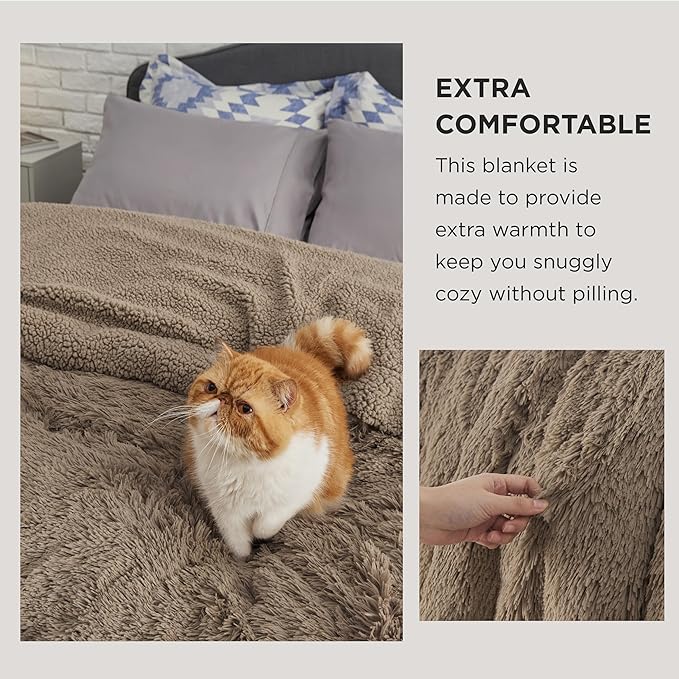Bedsure GentleSoft Fluffy Light Chocolate Brown Throw Blanket, Brown Decor Cozy Gifts for Women Men, Soft Fuzzy Sherpa Fleece Plush Thick Warm Furry Faux Fur Throw Blanket for Couch, Bed, 50x60