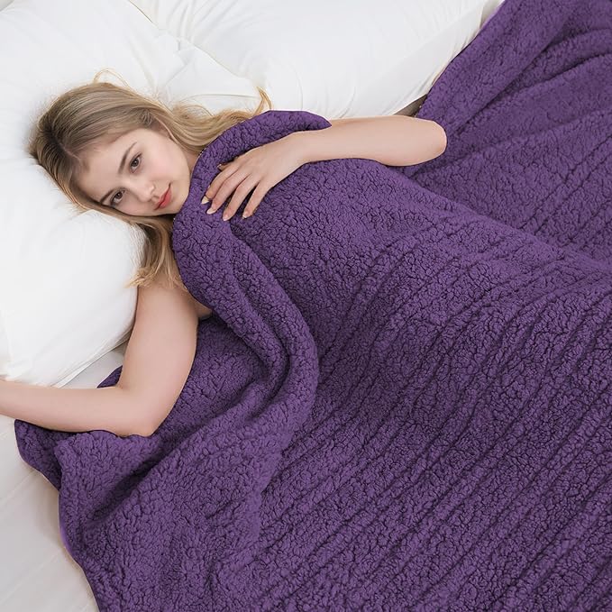 Electric Heated Blanket 6 Heating Settings & 1-10H Auto Off Twin 62×84 Double Sided Plush Sherpa Ultra-Cozy Soft Warm Thick, Machine Washable, Fast Heating, Home Office Dark Purple