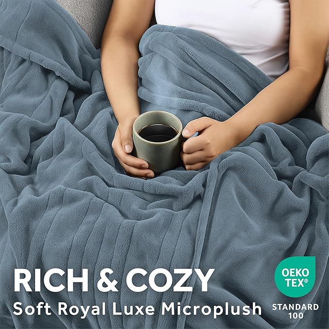 Sunbeam Electric Royal Luxe Microplush Heated Blanket, 12 Heat Settings, 12-Hour Auto Shut-Off, Fast Heating, Warm and Cozy, Cadet Blue Color, King (90" x 100")
