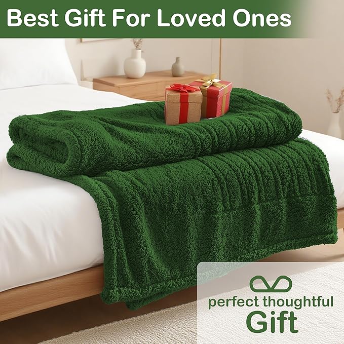 Electric Heated Blanket 6 Heating Settings & 10H Auto Off Full 72×84 Double Sided Plush Sherpa Ultra-Soft Warm Thick, Machine Washable, Fast Heating, Home Office, Green