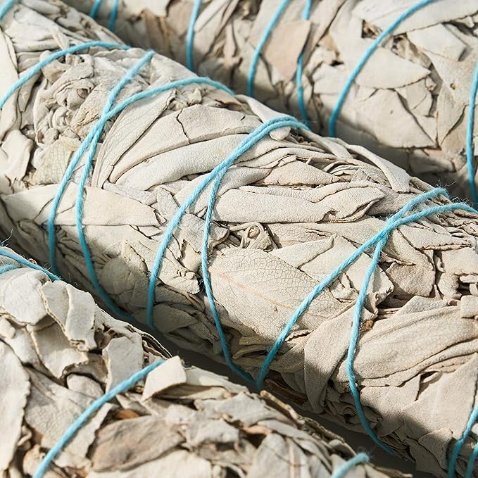 9-Inch White Sage Smudge Sticks ~ Sustainably Harvested ~ for Smudging & Cleansing ~ Instructions Included (3 Pack)