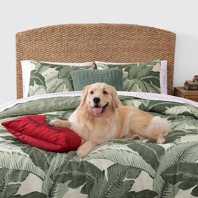 Tommy Bahama - Queen Size Sheet Set, Crisp & Cool Cotton Percale Bedding with a Smooth Lightweight Feel, 4 Piece Holiday Bed Sheets with Matching Pillowcases (Pineapple Pinstripe Red)