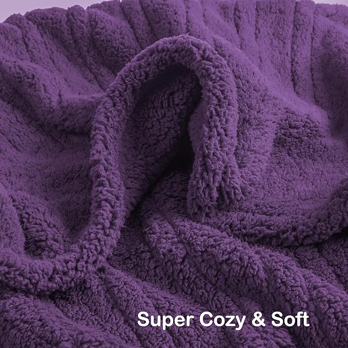 Electric Heated Blanket 6 Heating Settings & 10H Auto Off Full 72×84 Double Sided Plush Sherpa Ultra-Soft Warm Thick, Machine Washable, Fast Heating, Home Office, Dark Purple