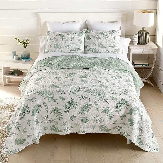 Donna Sharp Queen Bedding Set - 3 Piece - Botanical Quilt Set with Queen Quilt and Standard Pillow Shams - Cotton - Machine Washable