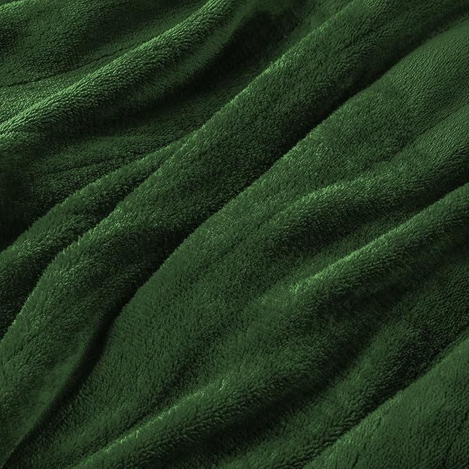 Electric Heated Blanket Twin Size 62”x84”,Soft Warmth Cozy with 5 Heating Settings 10 Hours Auto-Off, One Touch Operation, Machine Washable, Green