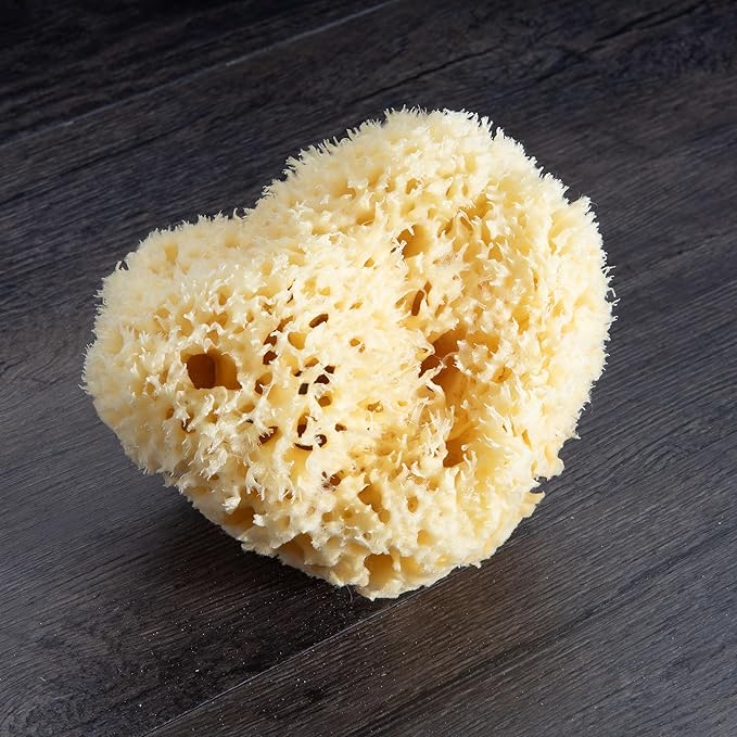 Sea Wool Sponge - All Natural Honeycomb Renewable Sea Sponge, Hand Cut, Jumbo, Approx. 7 Inches